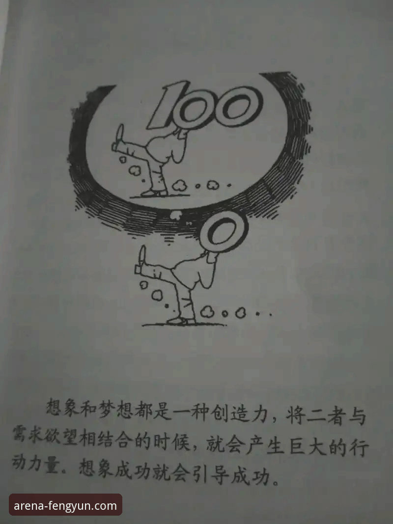 资深用户实用心得：风云体育官方网站使用指南全解析，3年高手经验分享